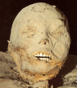 f-mumm.gif (30889 byte)